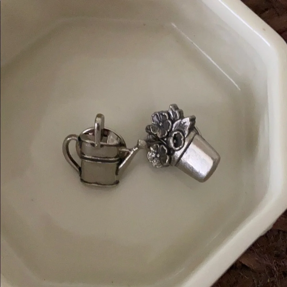 Lenox keepsake fruit box with free two garden pins